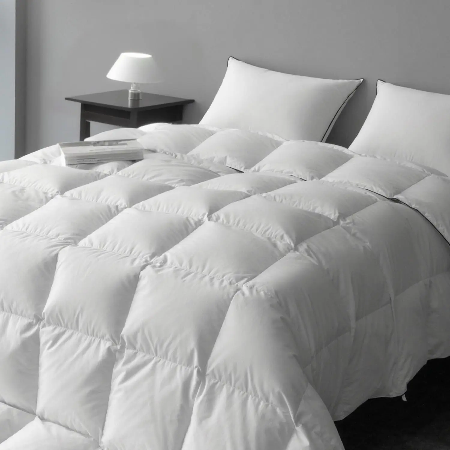 Goose Down Comforter Queen Size, 800 Fill Power Fluffy Down Duvet Insert, Luxurious Lightweight, All Season Medium Warmth Hotel