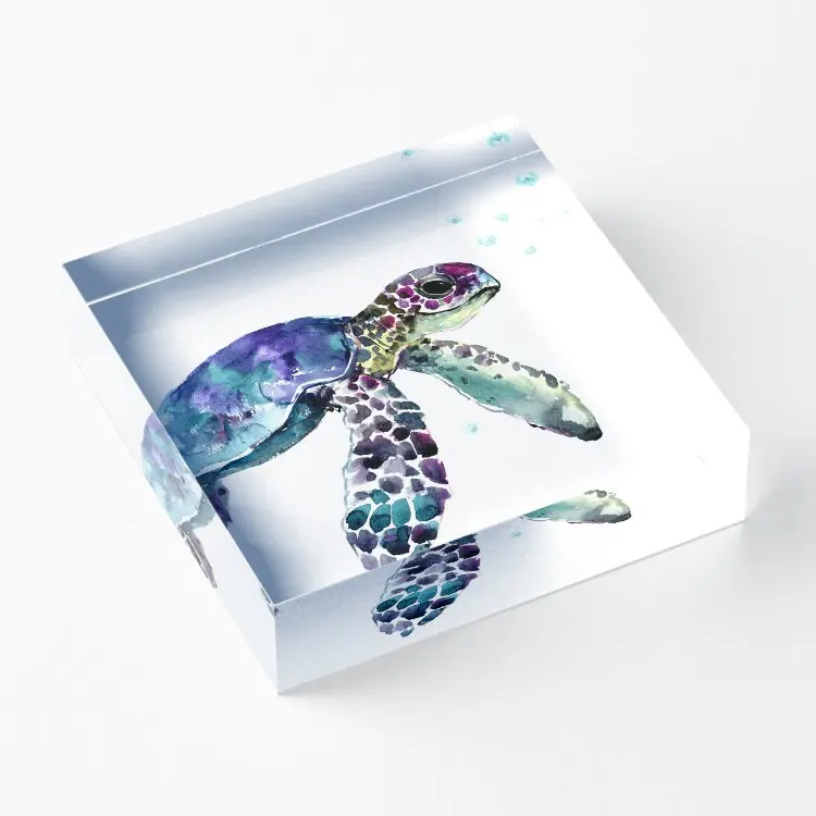 Sea Turtle  Acrylic Block Pad Bedroom Cute Home Print Wedding Photos Decoration Art Board  Transparent Fashionable Clear Decor