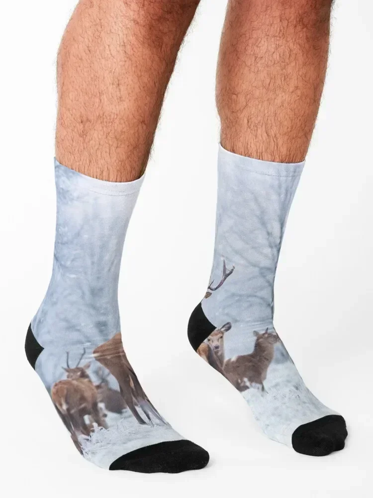 Narnia red deer family Socks cool luxury Soccer Women Socks Men's