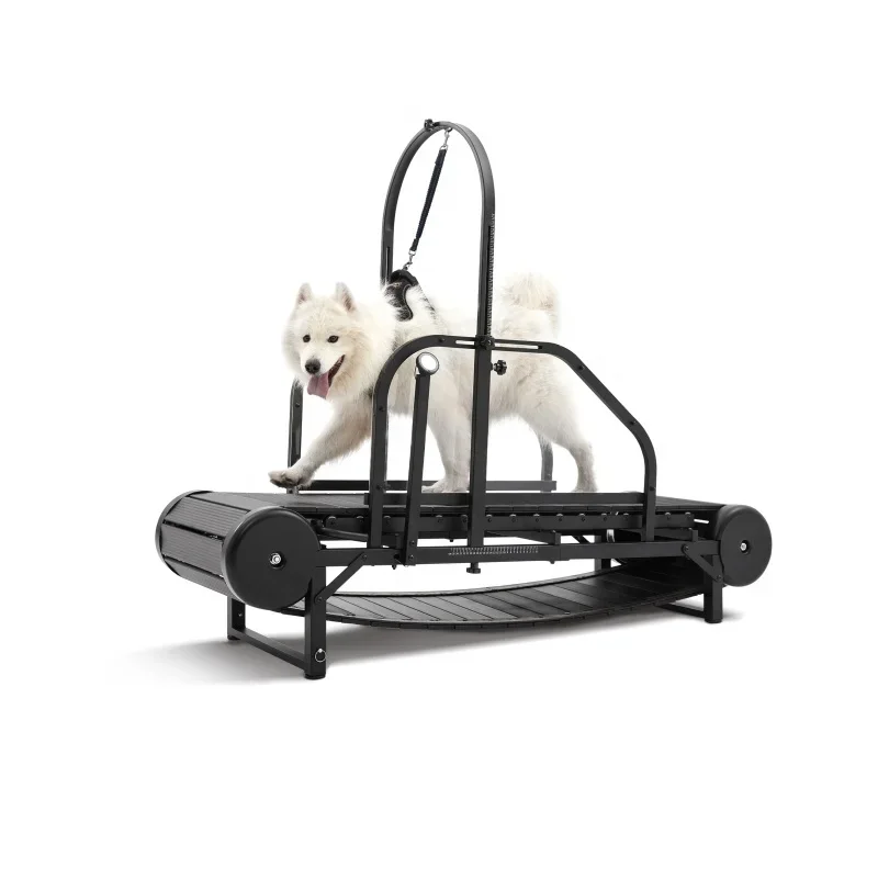 

Dog Treadmill for Large Dogs: Indoor & Outdoor Canine Running Machine for Pet Health and Fitness, Doggy Exercise Equipment