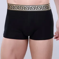 Boxer en pur coton modal pour homme, sous-vêtement sexy, boxer haut de gamme, 3 pièces, nouveauté 2022