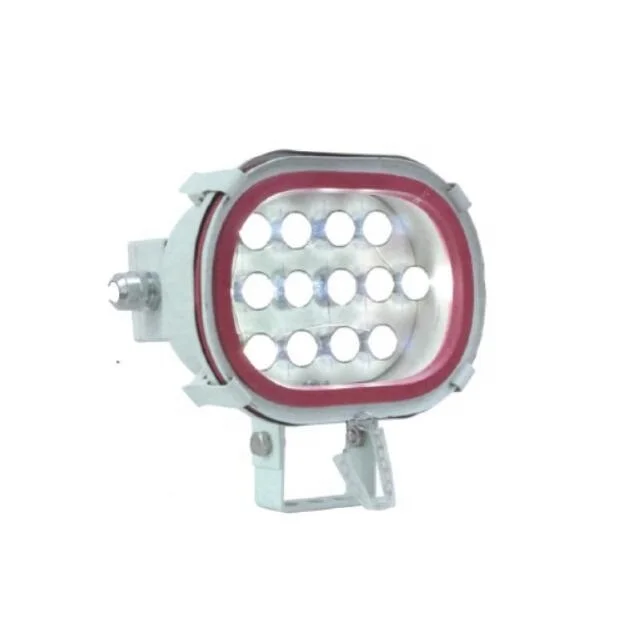 Aço inoxidável Corpo Marine LED Flood Light, TG67A-L21, 20W