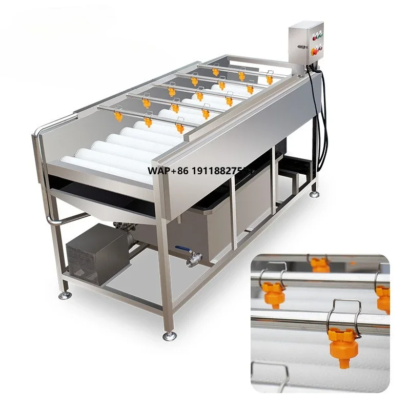 

Multifunction Vegetable Tomato Parallel Roller Cleaning Machine High Pressure Spray Fruit Washing Machine TS-M100