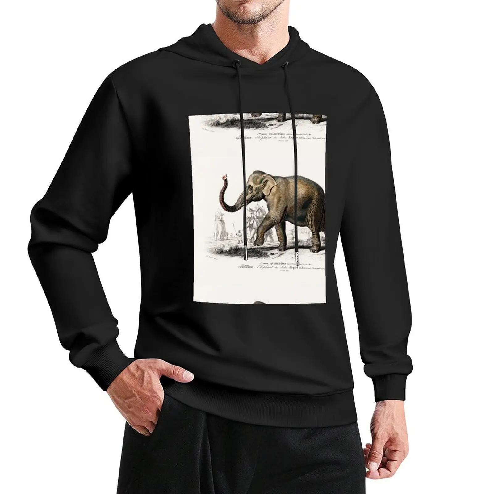 

Elephant vintage illustration Pullover Hoodie men's clothing clothes for men men's winter sweater oversized hoodie