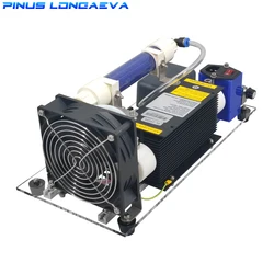 Pinus longaeva F1 10g/h 10grams adjustable simple ozone Fish pond disinfection machine ozone air water treatment purifier