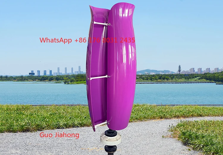 

24V Tulip 300W 500W 1Kw Vertical Windmill Turbine Wind Generators 2Kw for Europe