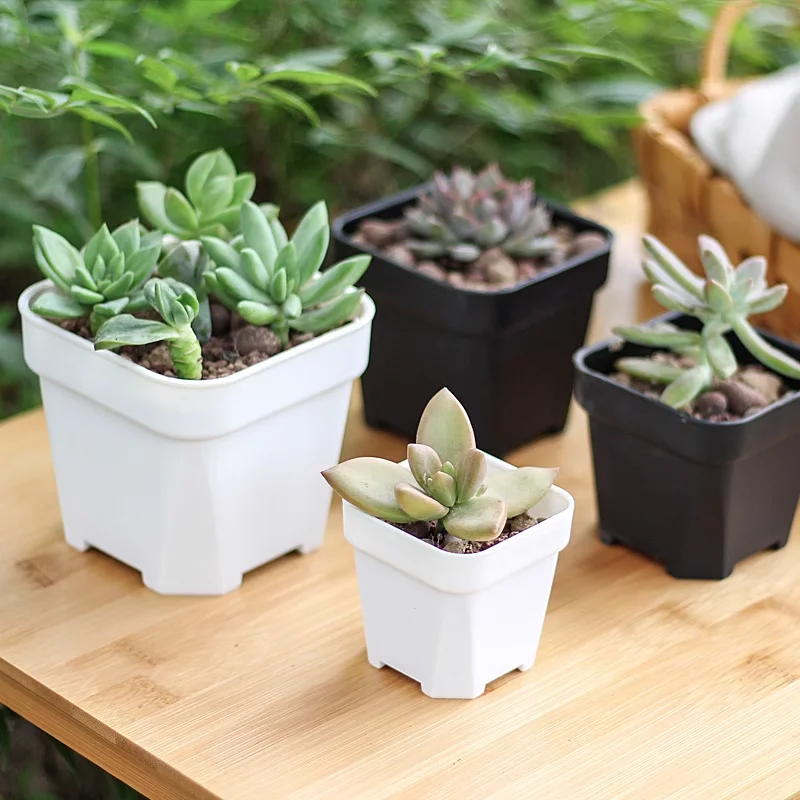 New Thicken Flower Pots Succulents Plant Small Square Planter Cactus Mini Bonsai Pot Tray Creative Home Office Decor Garden Tool