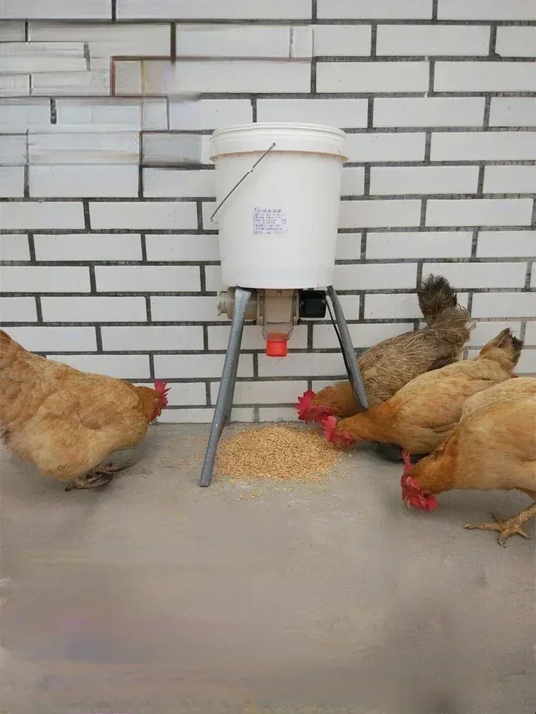 Solar poultry automatic timing feeder chicken, duck, goose, pigeon trough fish pond feeder