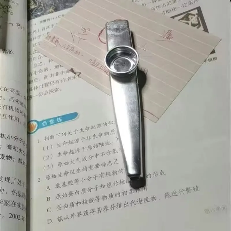 Flute Film Metal Kazoo Professional Grade High Value Mori Female Musical Instrument Niche Beginner Birthday Gift Backing Track