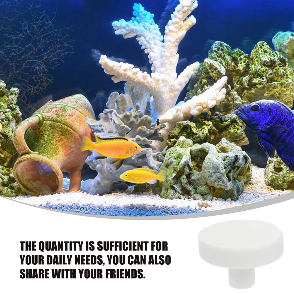 

Fish Tank Decorations Coral Pedestal Aquarium Ornaments Sponge Accessories Tanks
