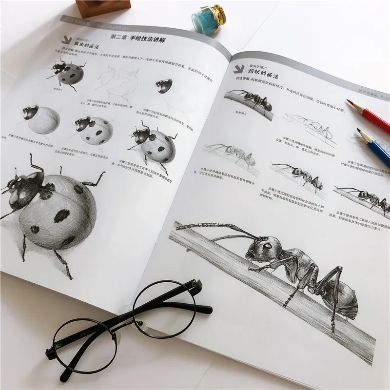 Libros básicos de boceto a lápiz, Tutorial de base cero, de principiante a profesional, libros de dibujo de bocetos pintados a mano, libro de curso