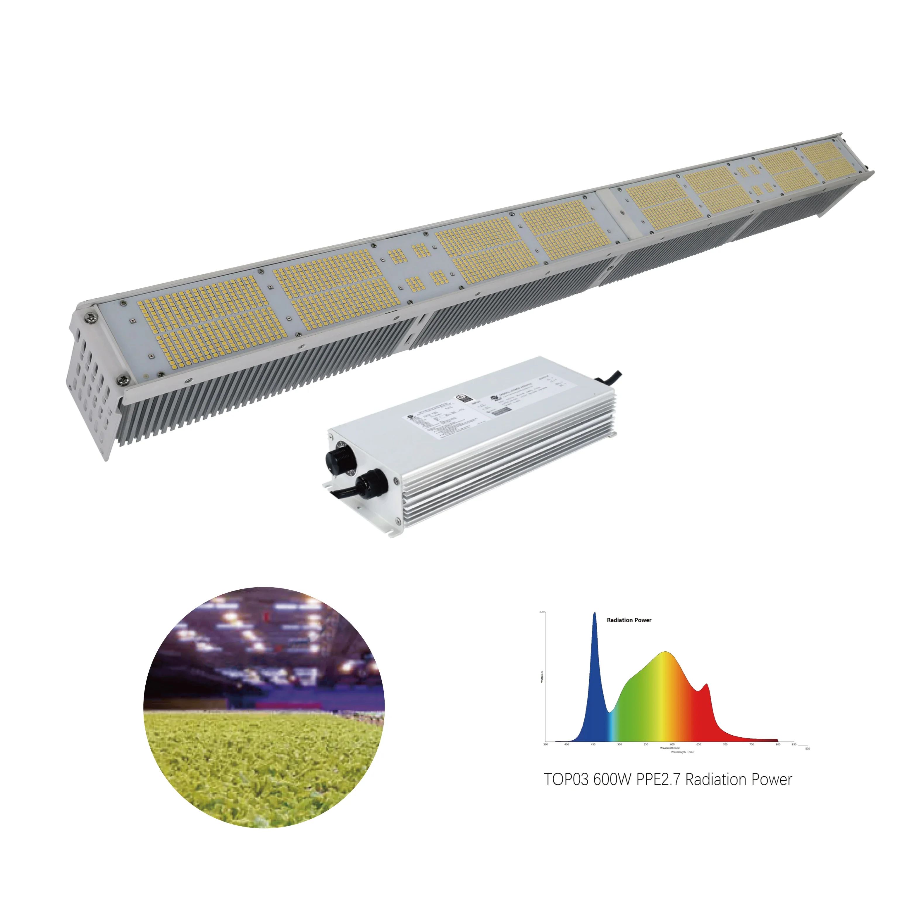 

High Quality 5 Years Warranty Slim Linear Type Indoor Garden 600w 300w Plant Grow Light Led Full Spectrum