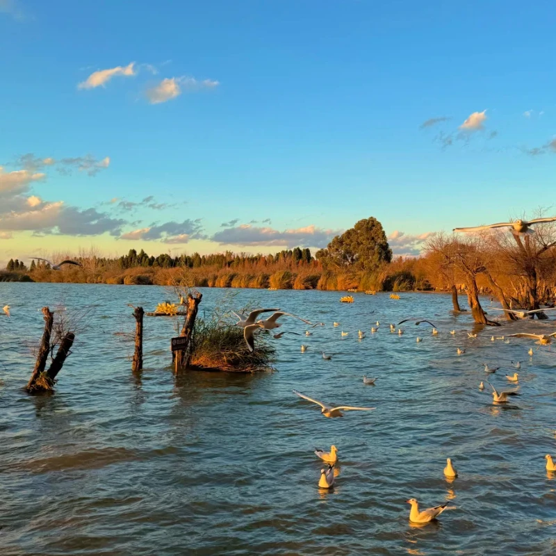 

iFlight BLITZ ATF435 55A Stack - Flight Controller w/ E55S 55A 4-IN-1 2-6S ESC, Built-in BEC, for FPV RC Systems