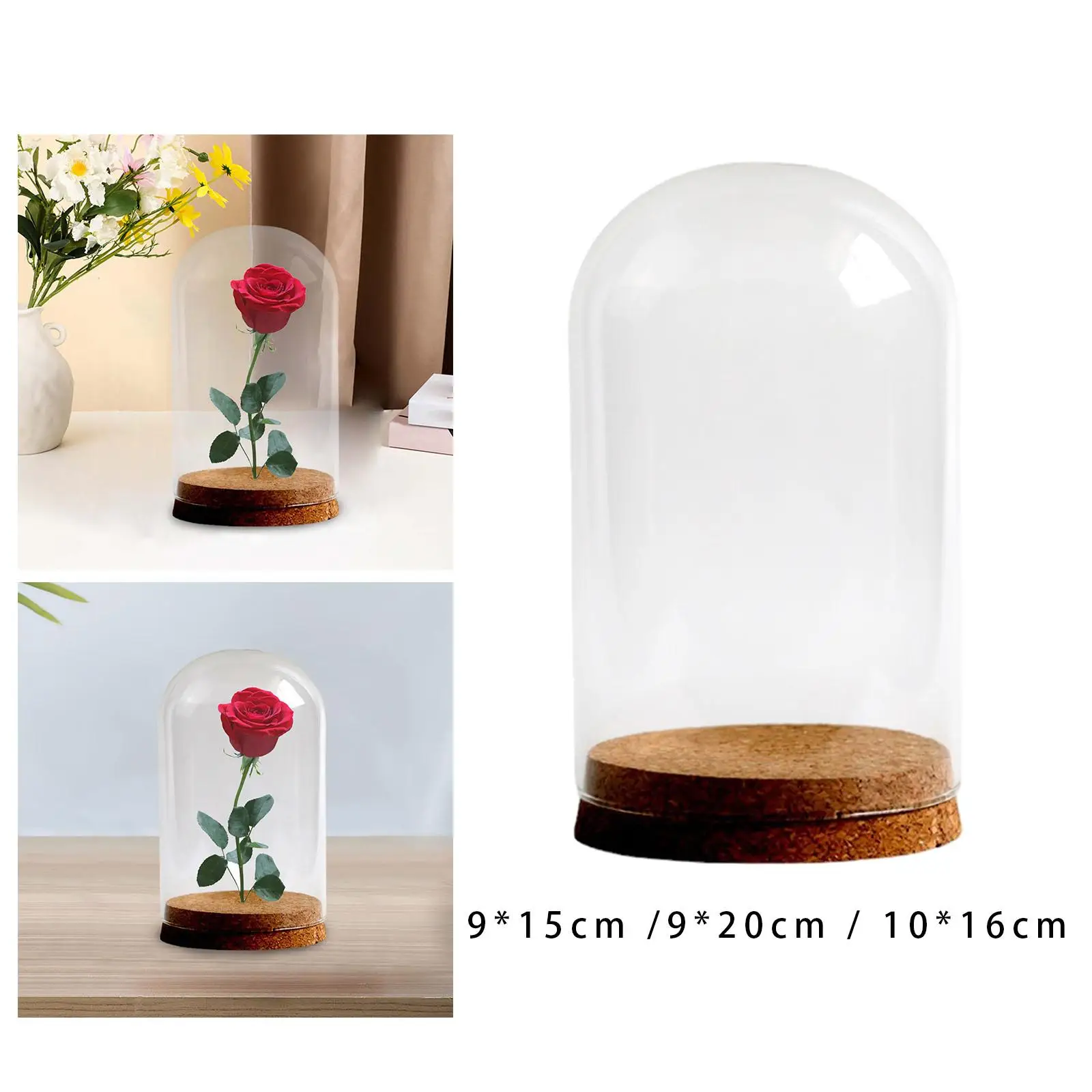 Preserved Flower Glass Cover DIY Stable Stylish Clear Glass Display Case for Weddings Desktop Study Room Anniversaries Festival