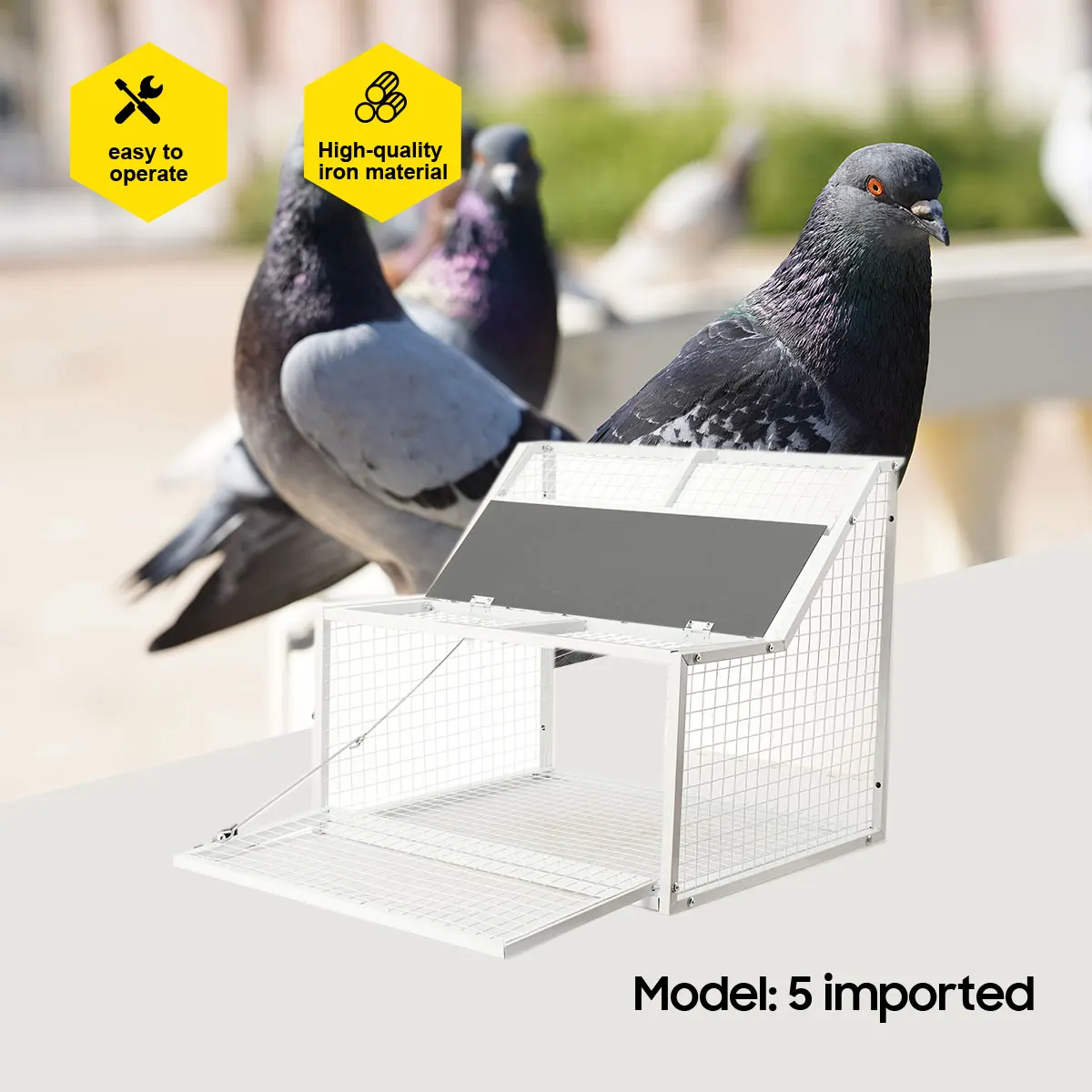 Gabbie Metalliche per l'Ingresso dei Piccioni 60/70 cm, Gabbie per Piccioni con Sistema di Salto, Solo Forniture e Nessun Strumento Automatico per la Raccolta dei Piccioni