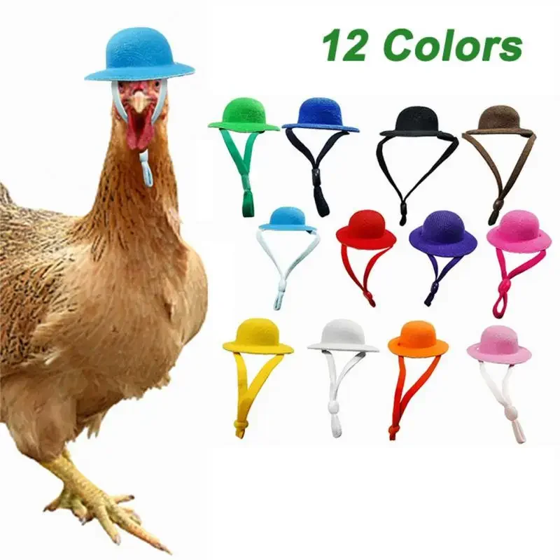 1PCS Chicken Hats For Hen Small Pets Funny Chick Accessories Top Poule 2022 New Fowl Supplies Шлем Для Kурицы