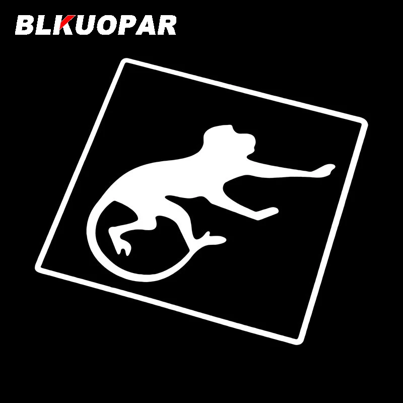 BLKUOPAR Monkey In Frame Animals Graphics Funny Car Stickers Vinyl Waterproof Decal Personality Motorcycle Laptop Car Styling