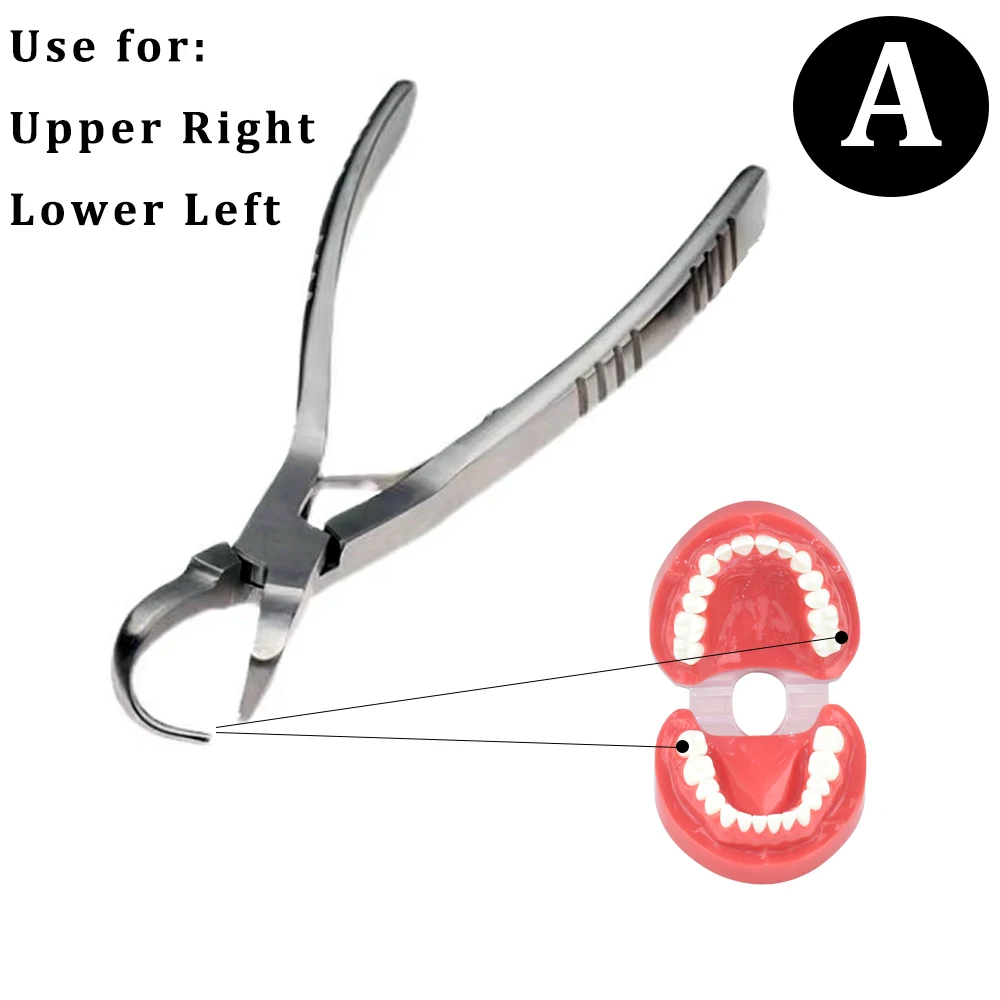 Szczypce do wyciskania korona dentystyczna szczypce do usuwania zębów szczypce do usuwania kleszczy do zębów narzędzia do chirurgii jamy ustnej