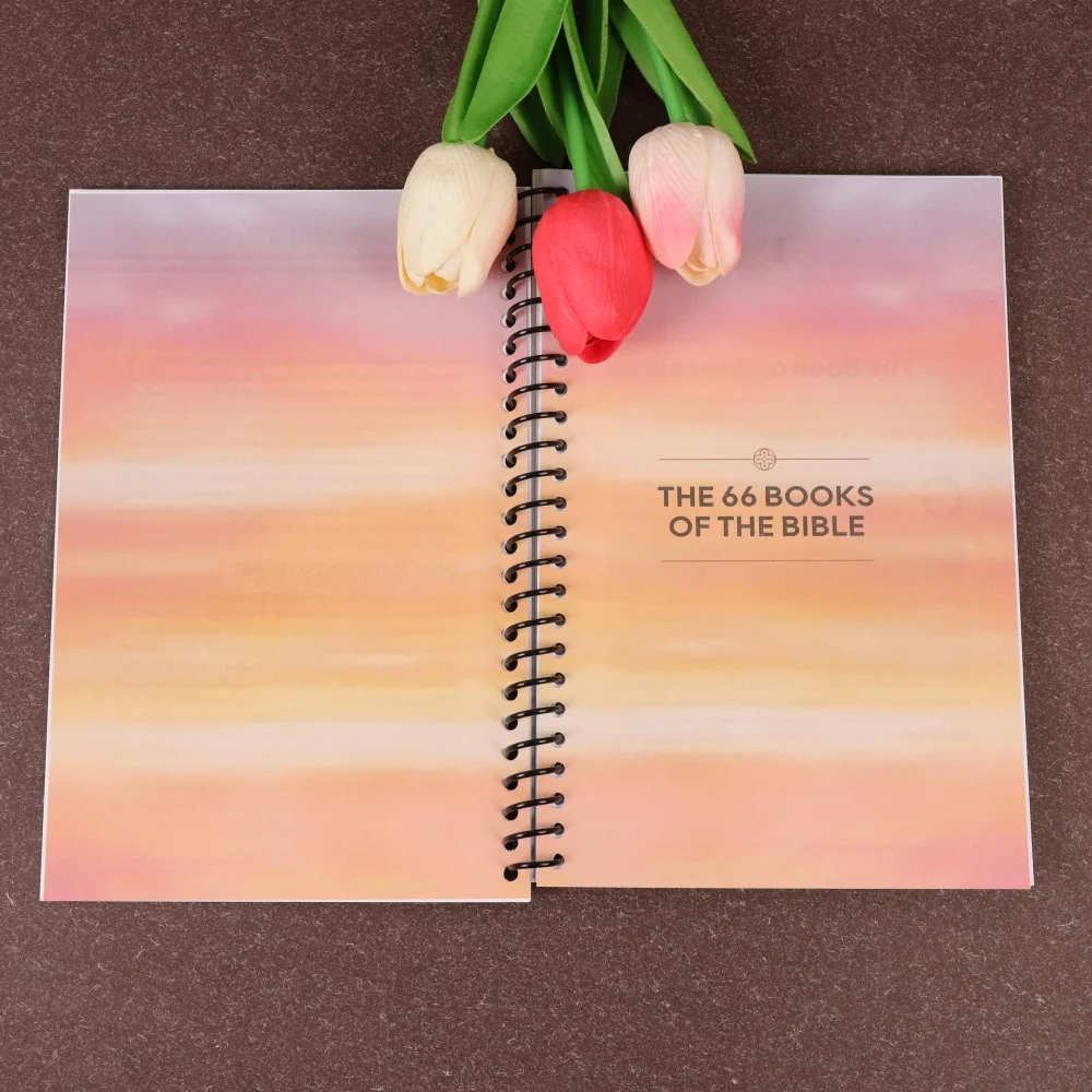 Bibbia preparata semplice: guida per principianti a tutti i 66 libri con temi, lezioni e intuizioni spirituali