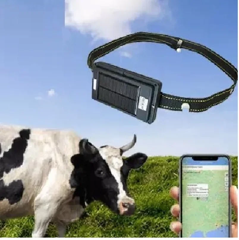 

F10 GPSONE Tracker for Cow Long Battery Life 20000mAh Solar Powered Collar GPS Tracking for Cows Livestock GPS Tracker