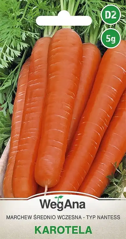 Graines de carotte Karotela 5 G WegAna - variété Nantes à maturation moyenne précoce, sucrée, orange, pour jus, congélation et stockage court.