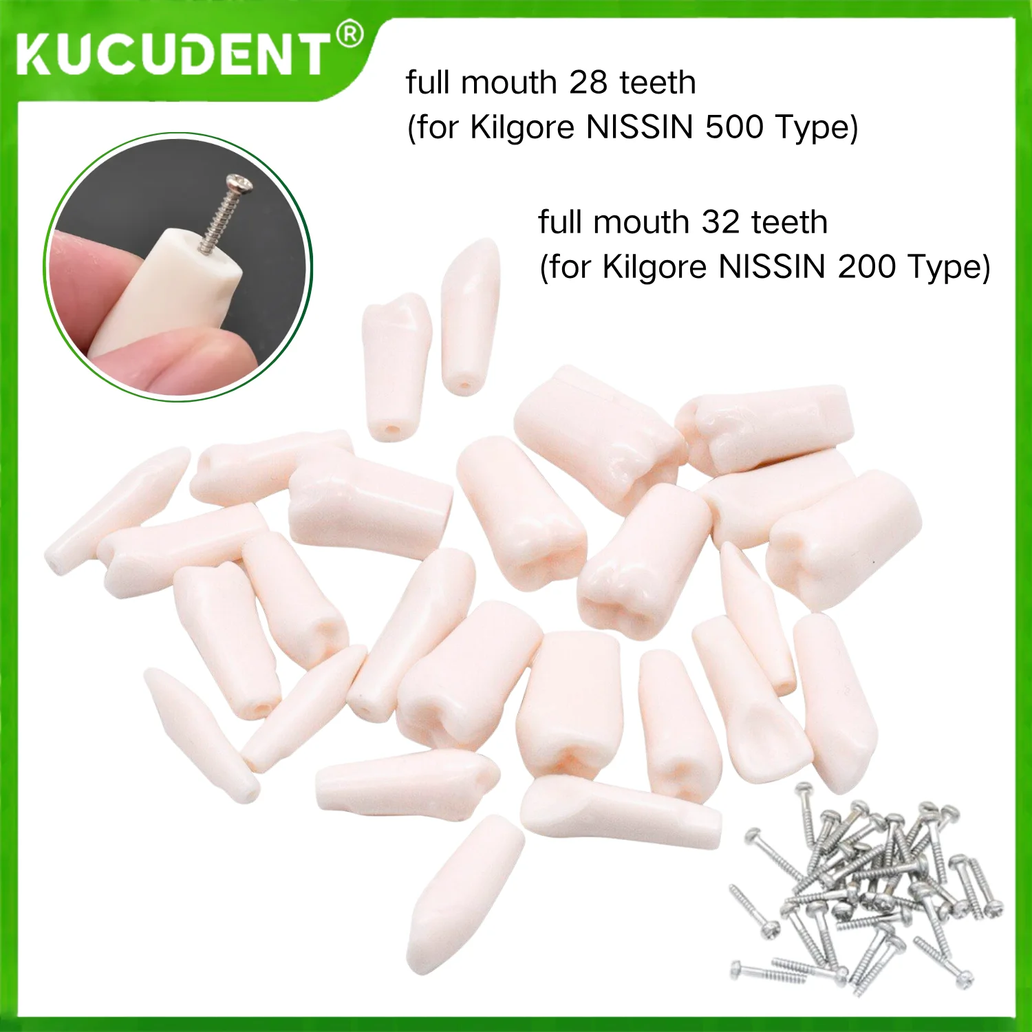 

28 шт., зубы из смолы, модель Typodont, винт, фиксированный, съемный, индивидуальный, ввинчивающийся, для практики протезов, обучающие зубы