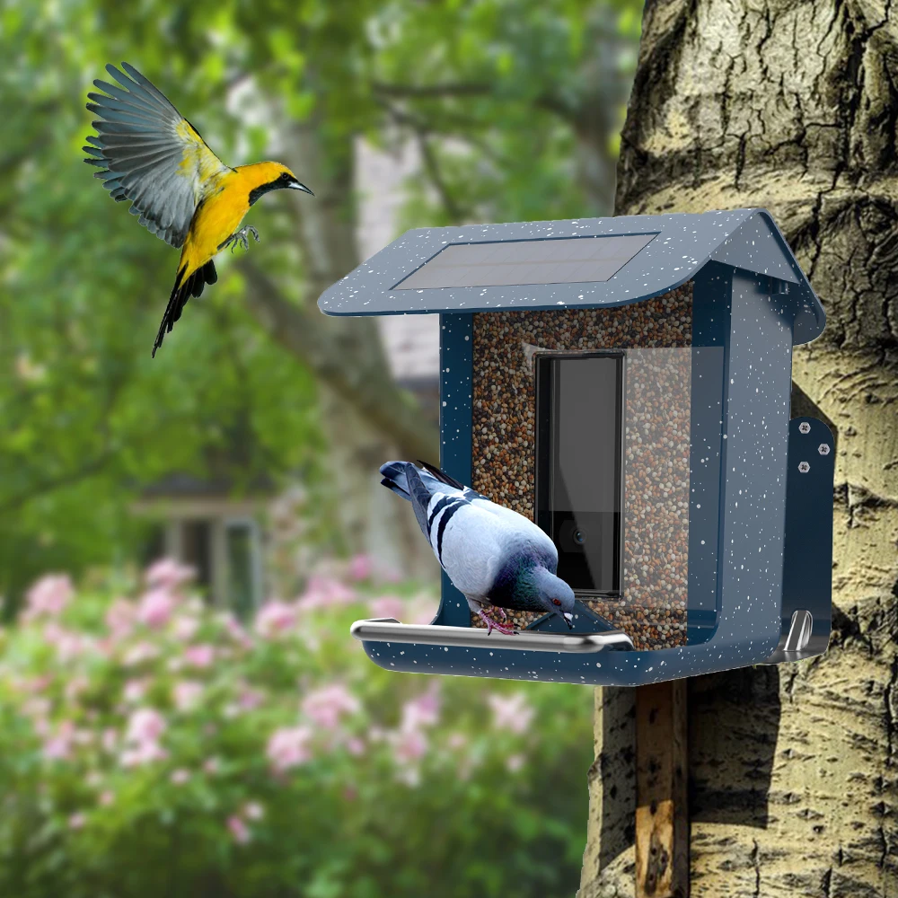 Solar Powered Outdoor Smart AI Recognition Bird Feeder