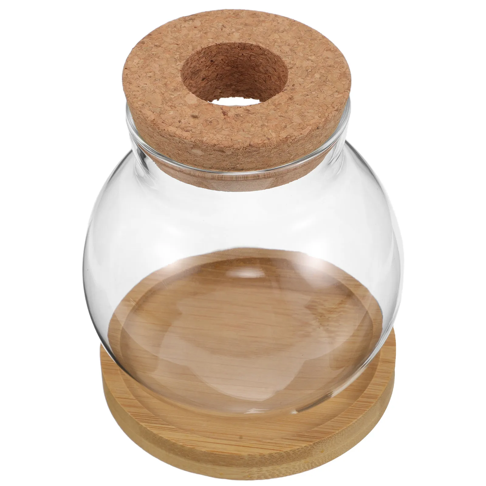 

Набор из 2 стеклянных гидропонных ваз: маленькие прозрачные банки для проращивания с пробковыми крышками и бамбуковым поддоном для растений, луковичных культур и живых цветов