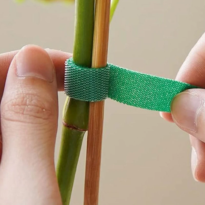 Sangles plante à cravate jardin