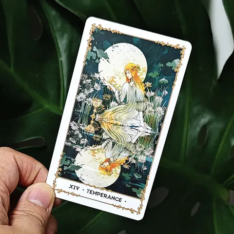 Silent Desolate Tarot Deck 10.3*6cm 78 Pcs Cartoon Tarot Cards Based on Rider System