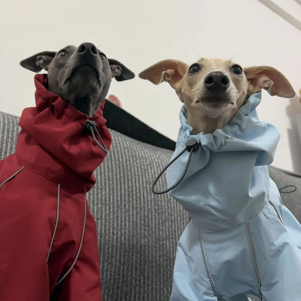 Frühling Sommer Blauer Regenmantel für Italienische Windhunde Winddichte Wasserdichte Jacke mit Rotem Reißverschluss für Whippets Reflektierender Streifenmantel – Detail 19