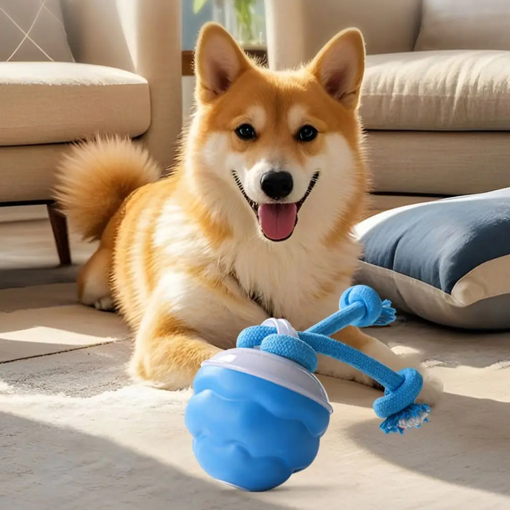 

Bite Resistant Electric Dog Toy Ball Automatic Bouncing LED Lighting Electric Jumping Ball Toy Dog Interactive Ball Pet Toy