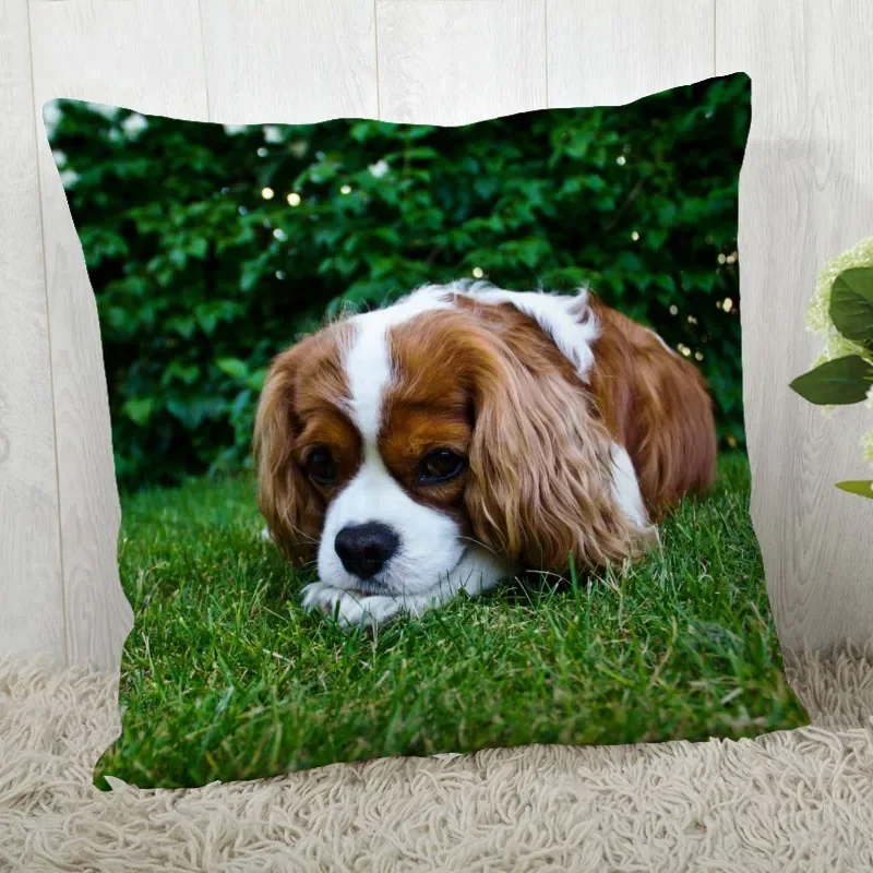 Cocker Spaniel Printing Series Sofa Creative Cushion Cover Simple Pillowcase Home Decoration Party Car