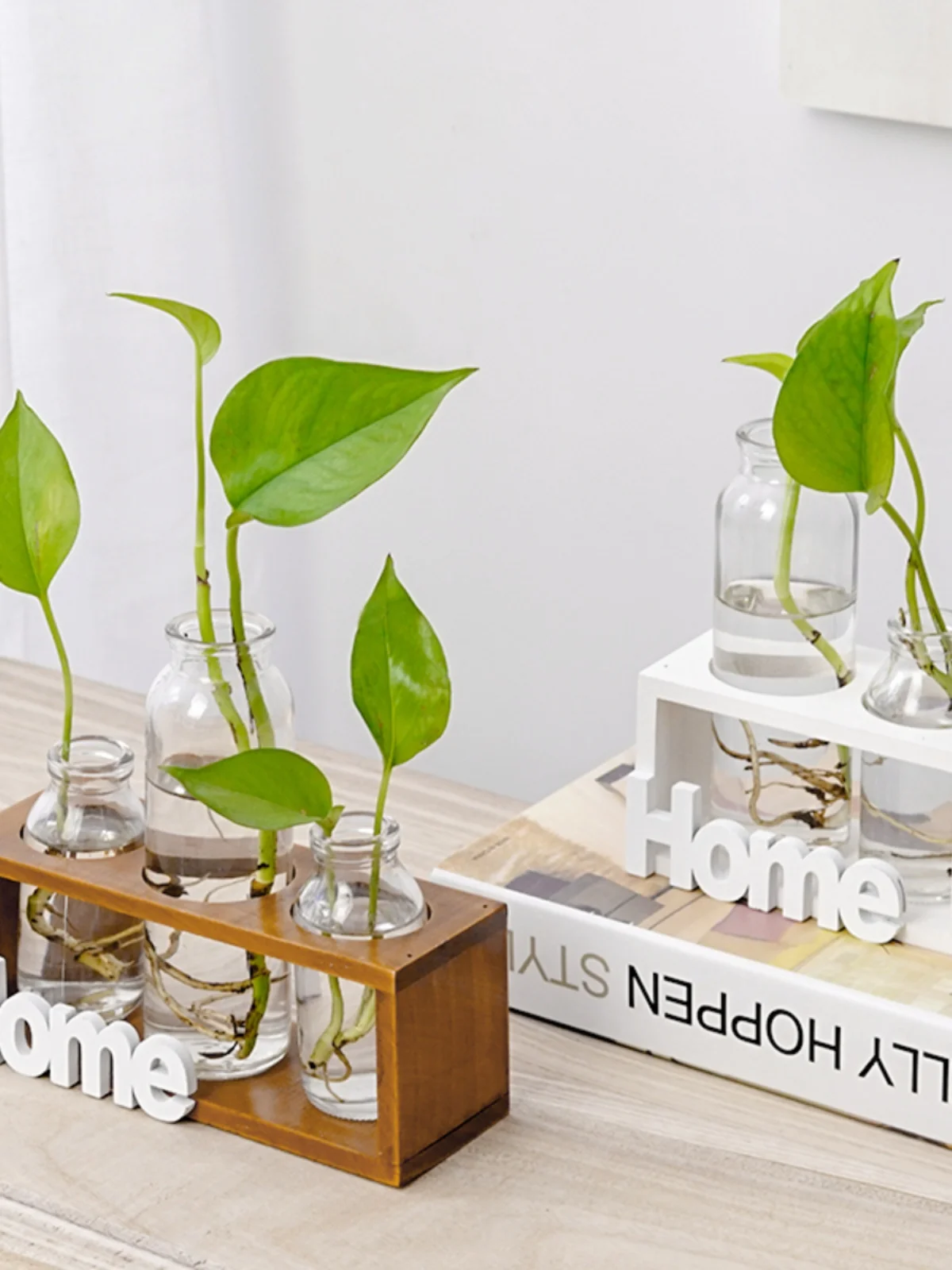 Simple Wood Hydroponic Glass Vase Plant Transparent Flower Arranger Living Room Home Decoration Pieces