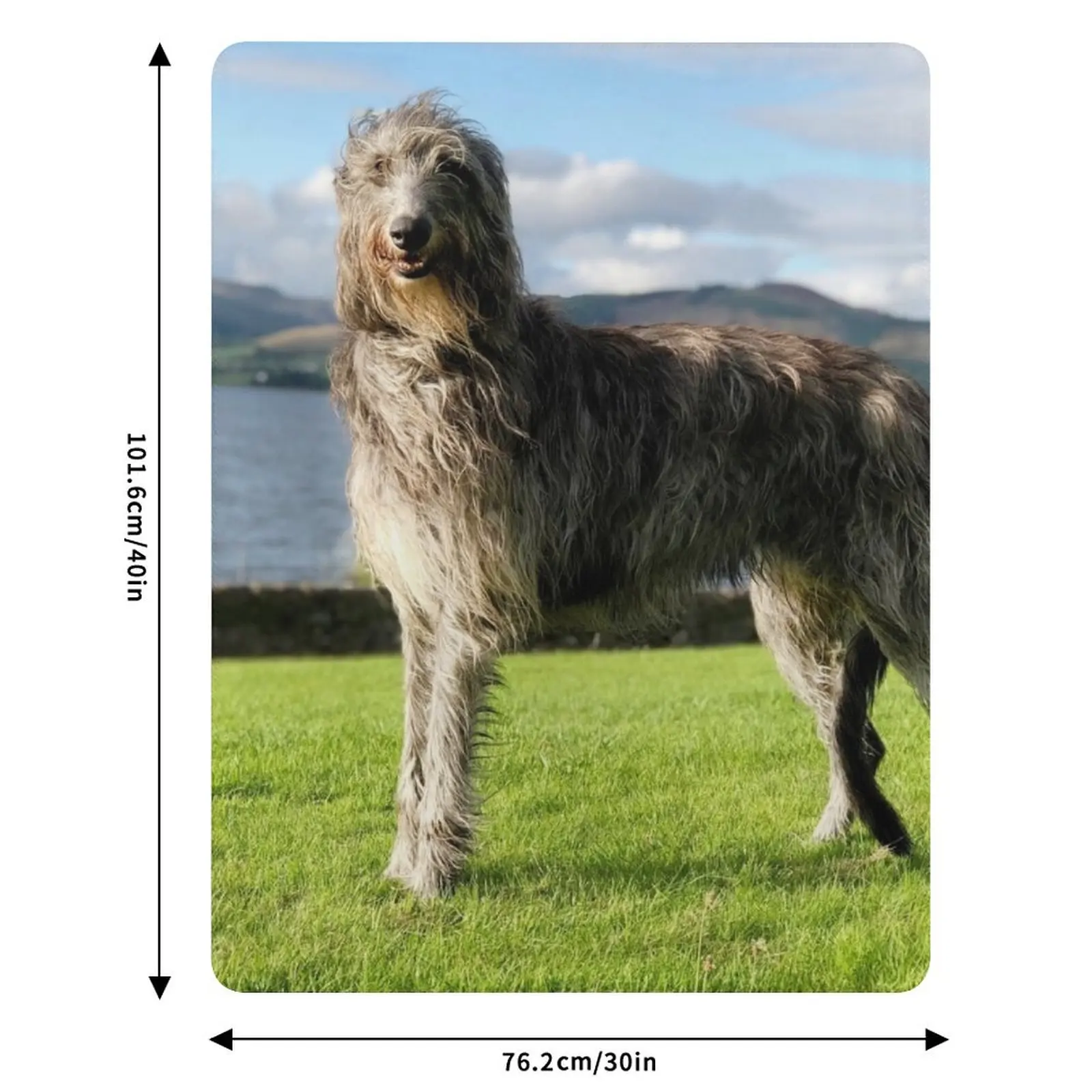 Stunning Scottish Deerhound in Scotland Throw Blanket Sofa Moving Retros Flannels Camping bed plaid Blankets