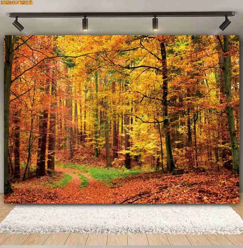 

Autumn Farm Forest Backdrop Fall Haystack Maple Leaves Sunshine Wheat Fields Pumpkin Truck Baby Portrait Photography Background