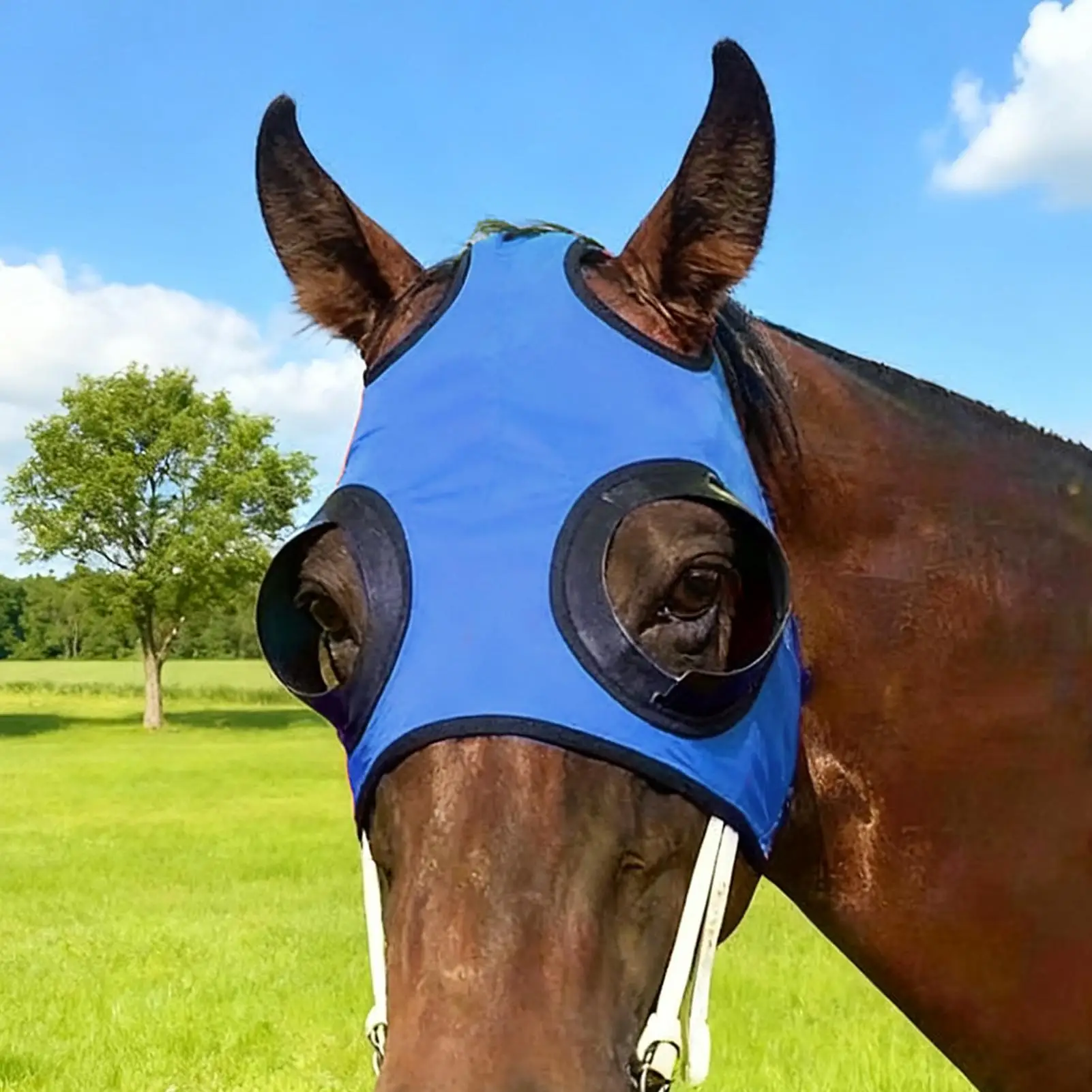 Competition Horse Blinkers, Adjustable Breathable Mesh Design for Eye Protection, Focus & Speed in Racing & Equestrian Events