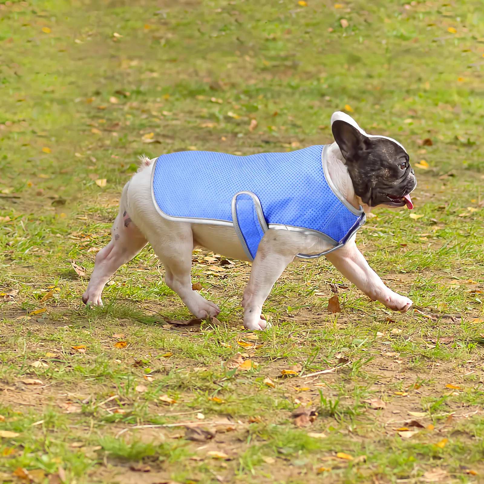 

Cooling Puppy Vest For Dogs Pet Supplies Puppy Cooling Vest Dog Shirt Mesh Waistcoat Pet Clothes Reusable Pva Fabric Quick Dry