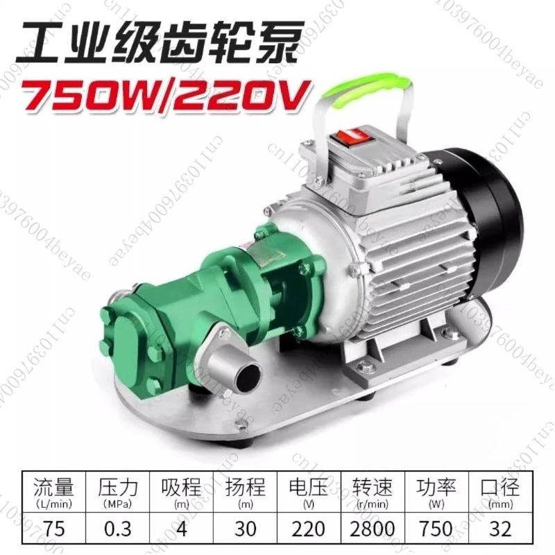 Gear Electric Pump  Self-Priming Stainless Steel High Viscosity Oil Diesel Cooking Oil Explosion-Proof