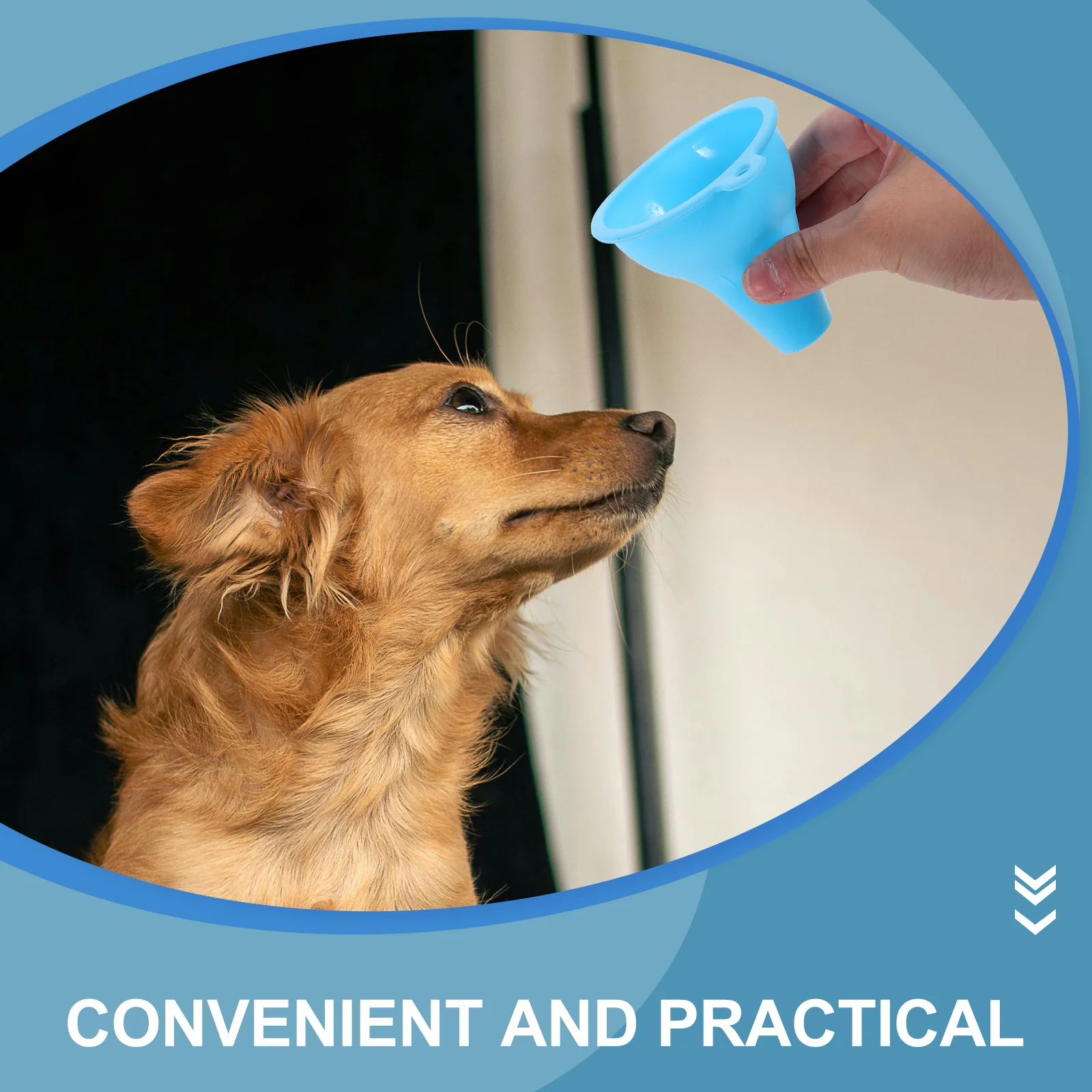Funil de alimentos para animais de estimação, funis pequenos de silicone, transferência de líquidos, acessórios