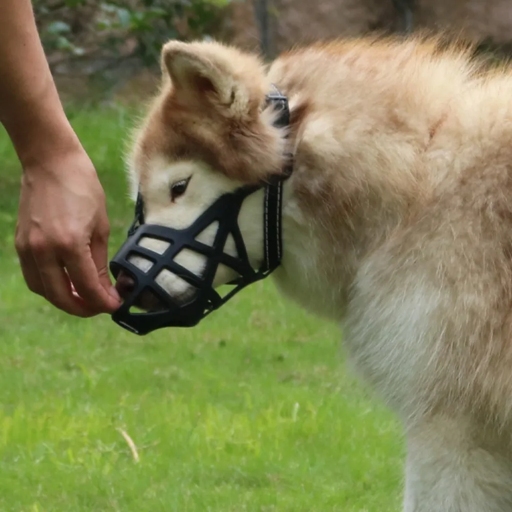 Thumbnail 3 - #5 Puppy Muzzles Comparison Guide