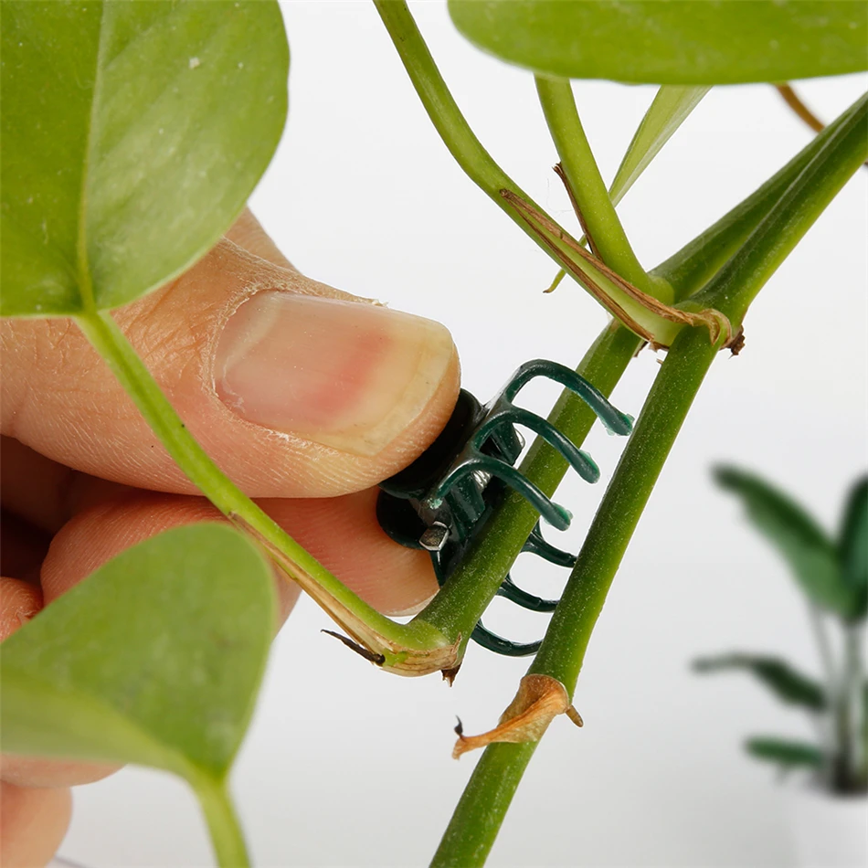Clips de Support de plante en plastique, 100 pièces, pour tige d\'orchidée, pour Support de vigne, légumes, fleur, faisceau, serrage de branche,