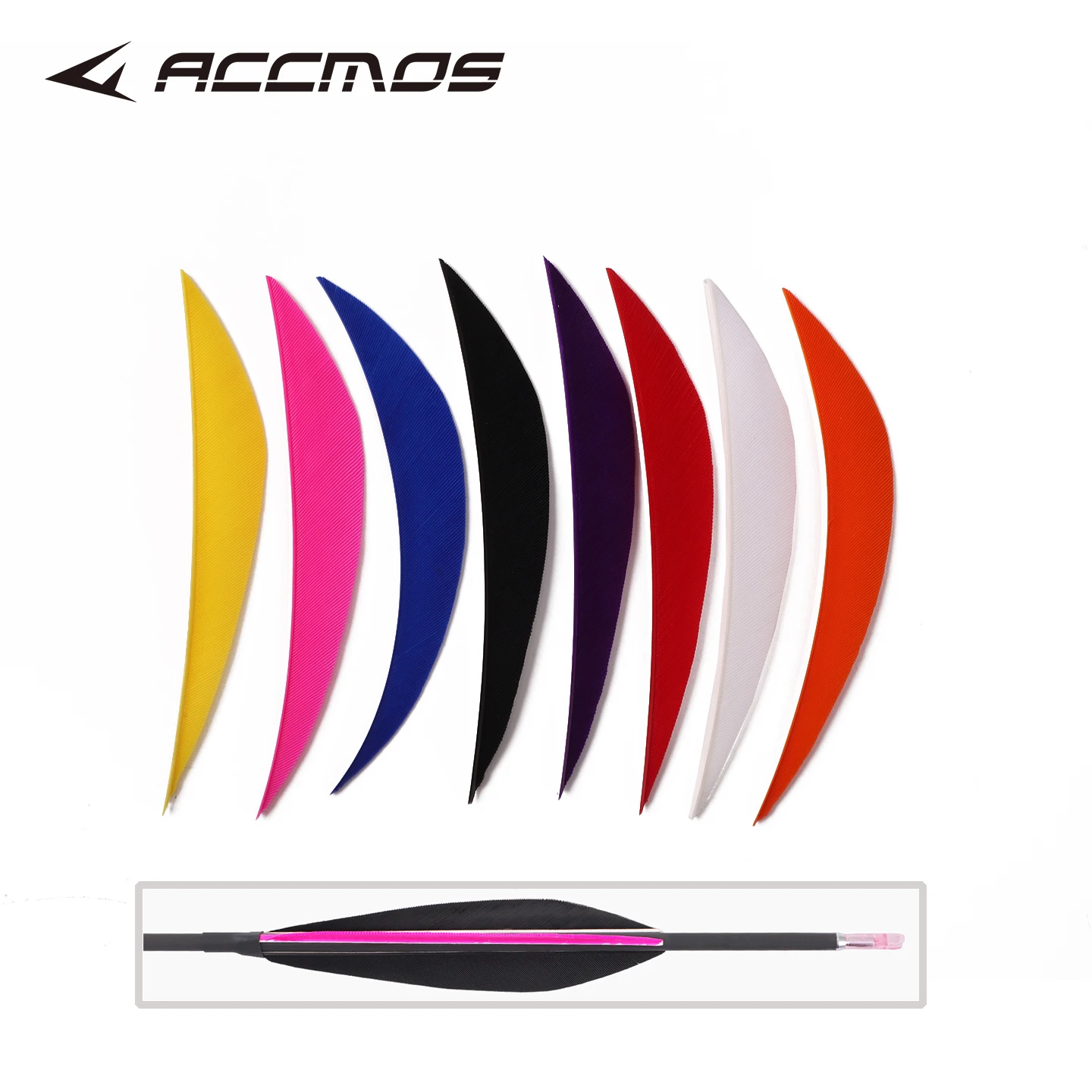 Archery 4Inches Real Turkey Feathers Dolphin Shape Arrow Fletches Vanes For Arrow Parts Fletching Accessories Shooting Hunting
