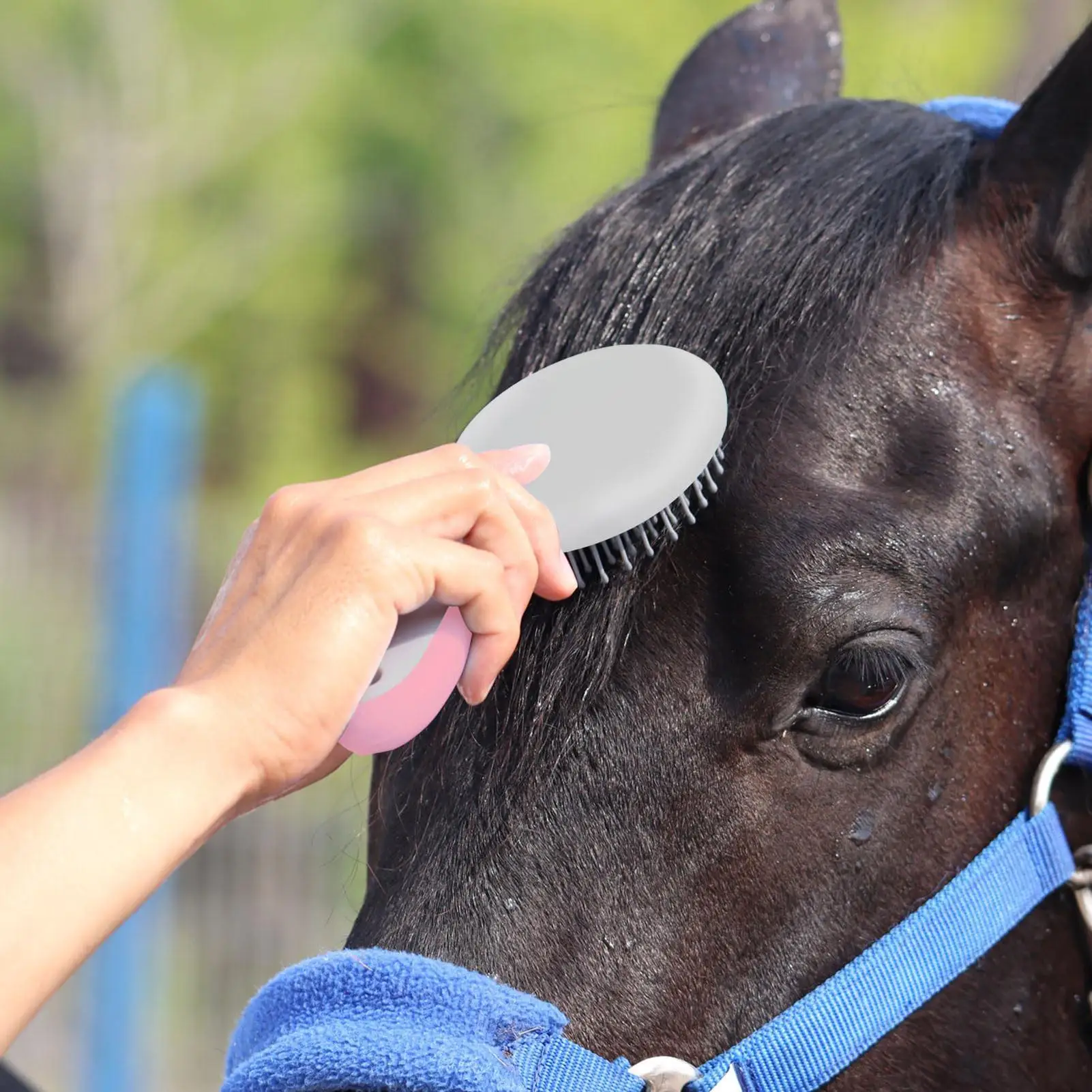 แปรงขนหางม้าและขนหัวม้า ด้ามจับแบบมืออาชีพ หวีขนหางม้า แปรงดูแลม้า แปรงขนหัวม้าและขนหางม้า หวีแปรงสำหรับสัตว์เลี้ยง