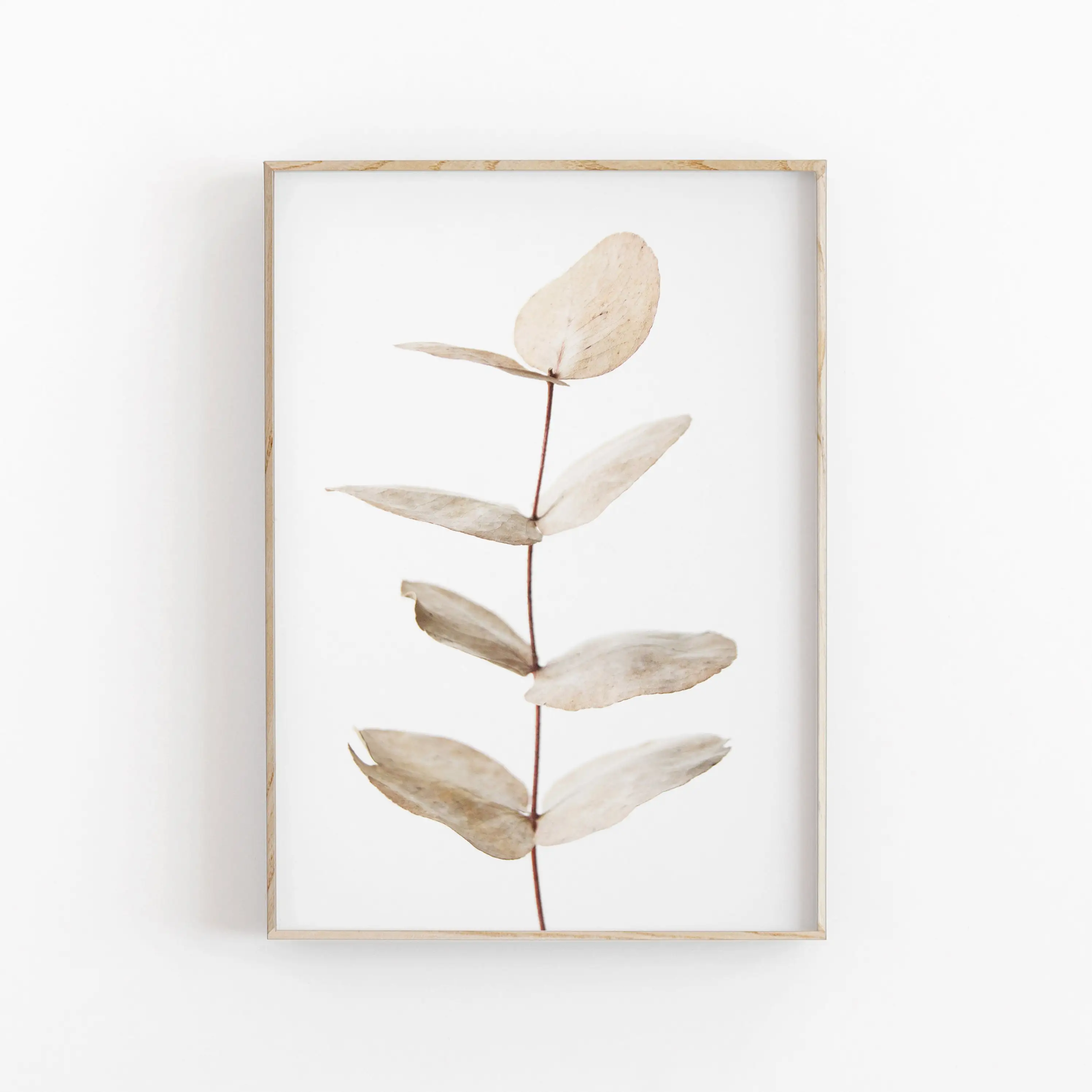 Minimalist Aesthetics Nordic Botanical Poster Canvas Painting Eucalyptus Palm Leaves Art Plant Printable Wall 
