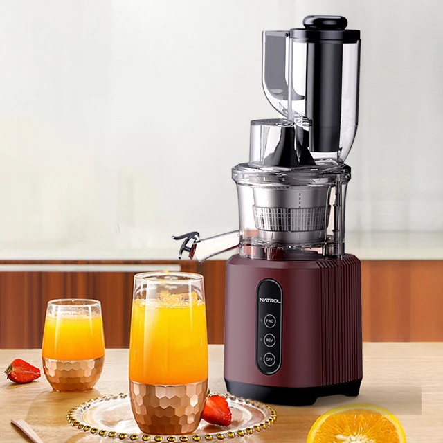 Commerciële Industriële Slow Juicer Aangepaste Grote Mond Fruit Extractor Elektrische Stroombron Koude Pers Sap Machine