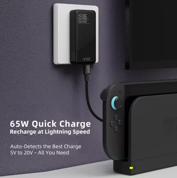 Savage Raven by Skull & Co. 65W GaN محول الطاقة شاحن سريع شحن سريع لنينتندو سويتش 2 Steam Deck ROG Ally #3