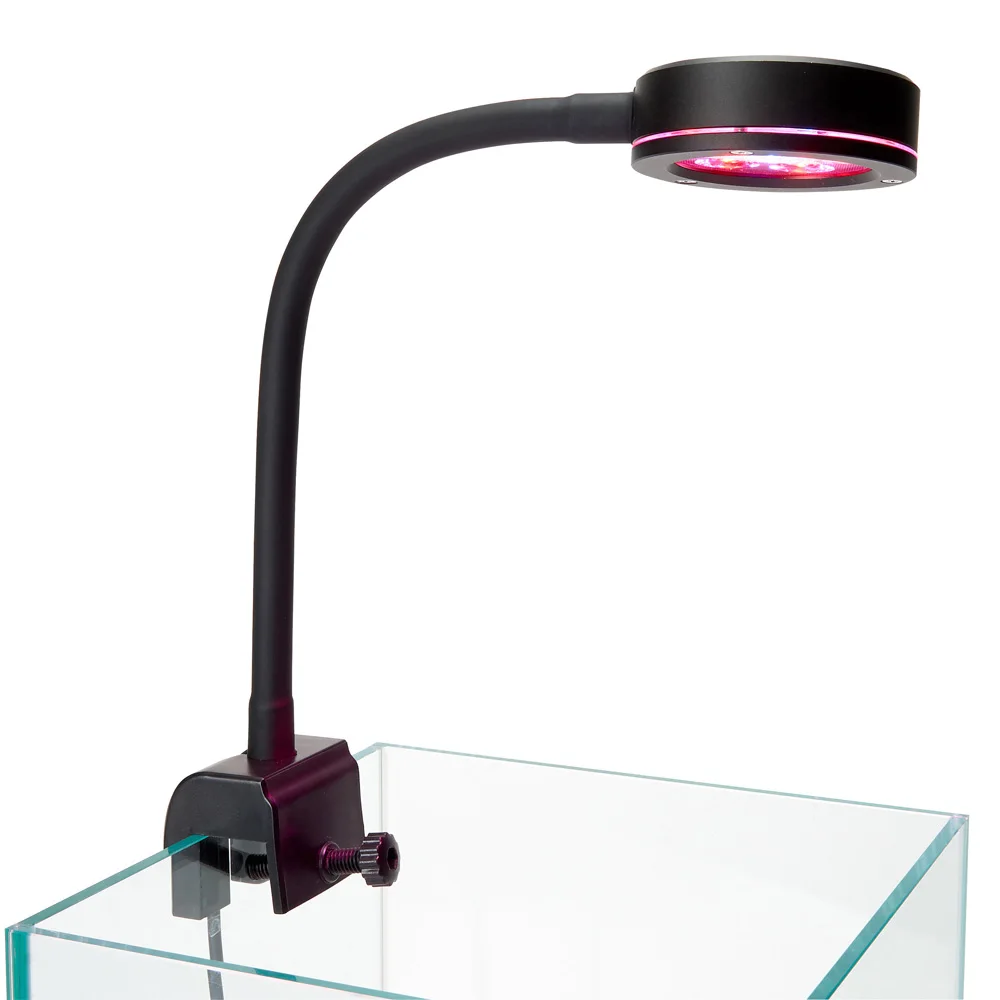 Nano Glo Refugium Aquarium Sump LED High Powered Chaeto Grow Light 6x3W Red Blue Spectrum With Adjustable Clip