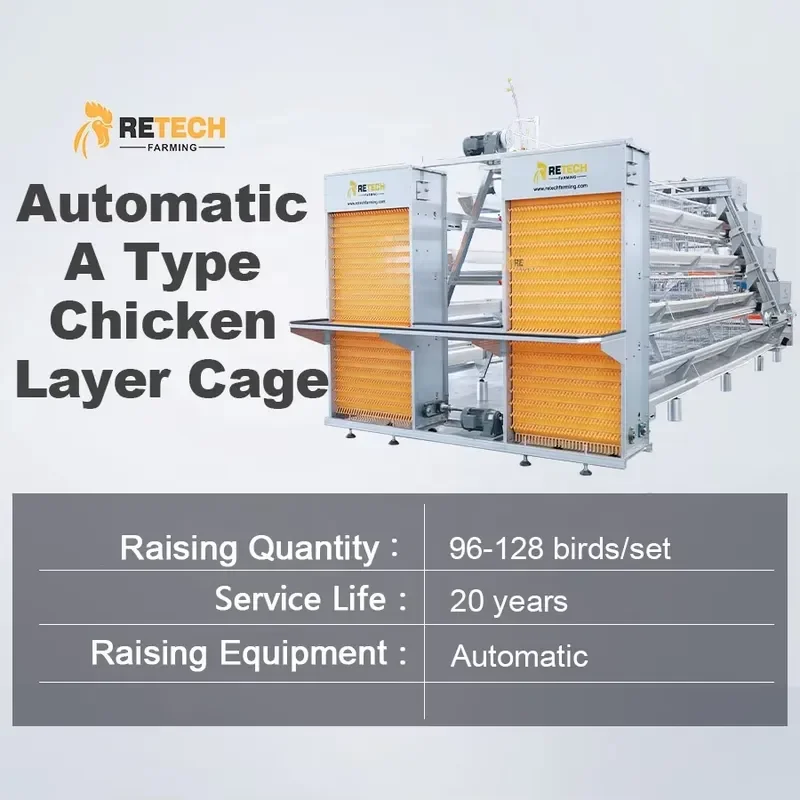 Automatic 3-Tier A-Type Galvanized Layer Chicken Cage for Automatic Hot Sale