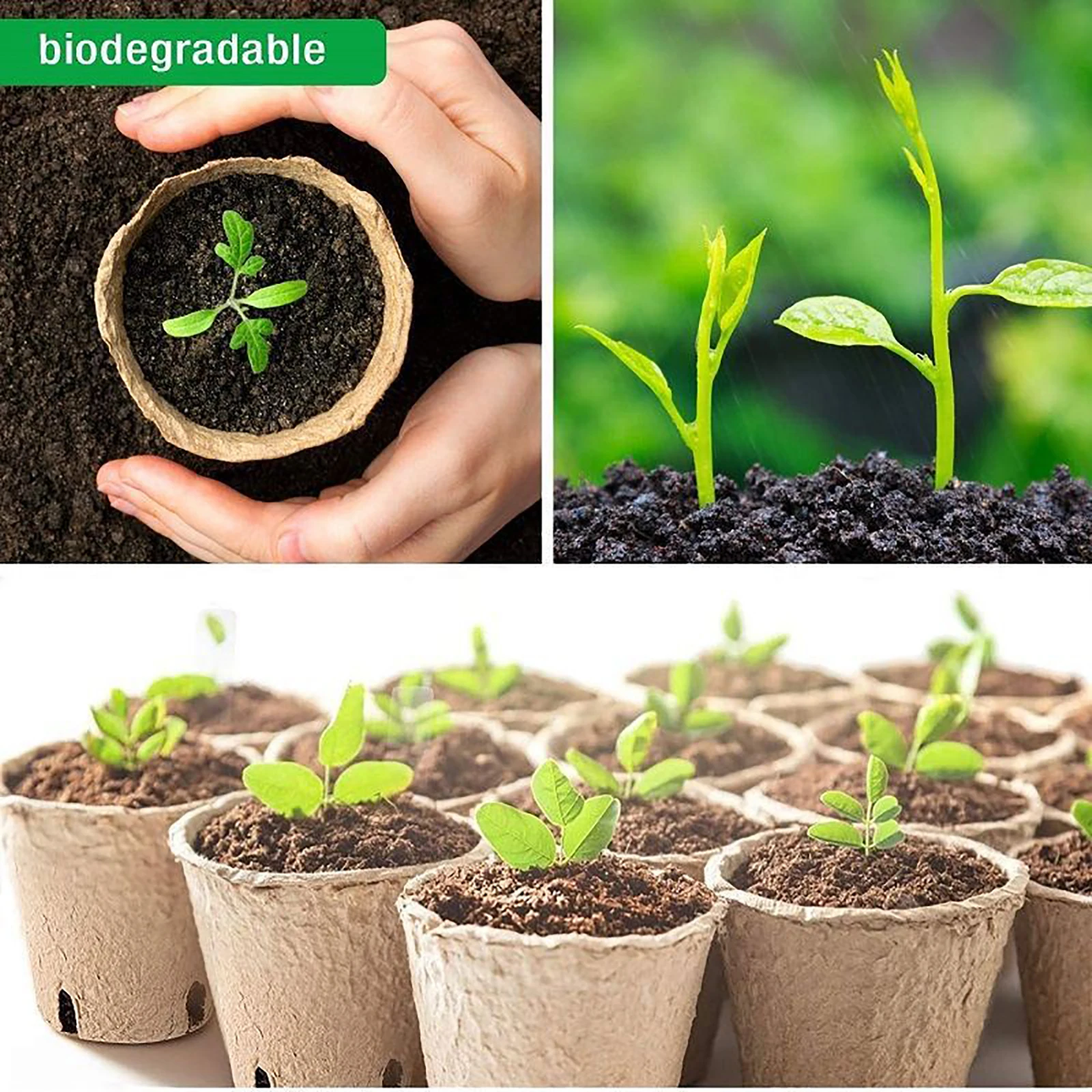 Biodegradowalny miazga szkółkarska 6cm 8cm sadzonka do kiełkowania doniczki ogrodowa szklarnia rolnicza zaopatrzenie do sadzenia 5 szt.